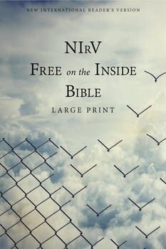 nirv-free-on-the-inside-bible-large-print-paperback-719605-1