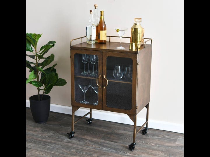 metal-cabinet-with-wheels-and-glass-doors-1