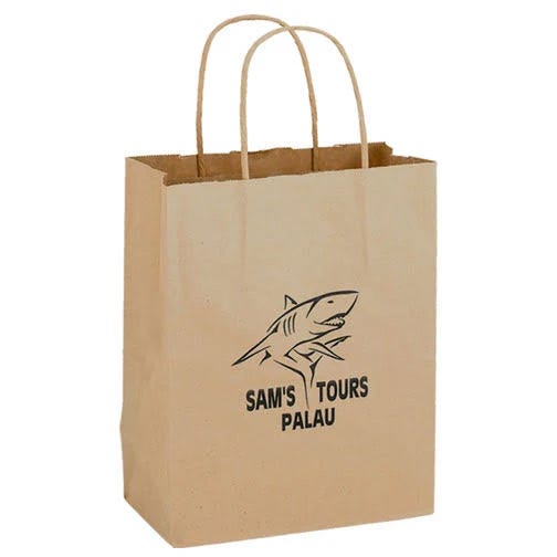 Aab Premium Kraft Paper Shopping Bags | Image