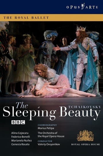 the-sleeping-beauty-6032525-1