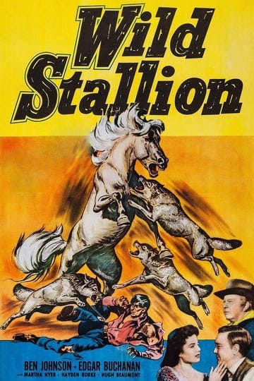 wild-stallion-1521822-1