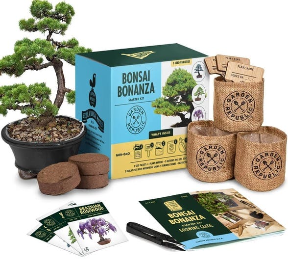 garden-republic-bonsai-tree-kit-grow-3-mini-bonsai-trees-indoor-plant-growing-kit-bonsai-starter-kit-1