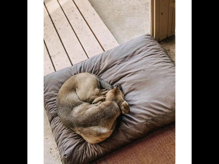 signature-dog-bed-dark-shadow-1