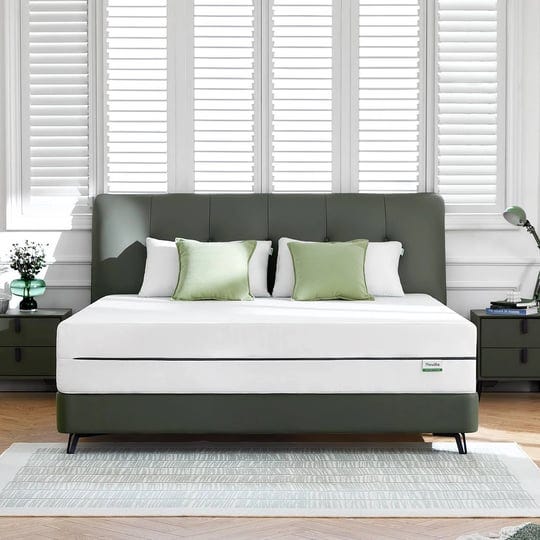 novilla-comfy-10-inch-high-density-foam-mattress-queen-1