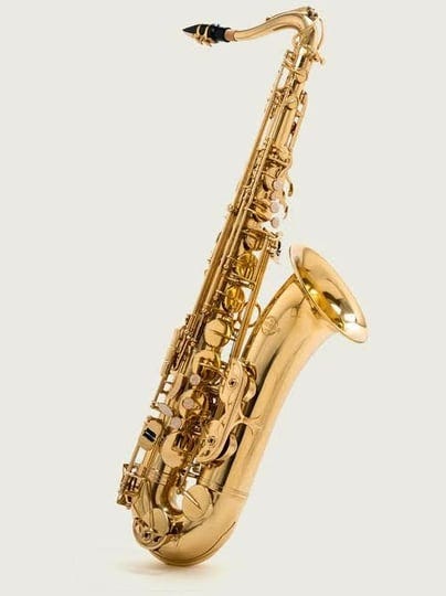 tenor-saxophone-the-mcneela-beginner-tenor-saxophone-set-1