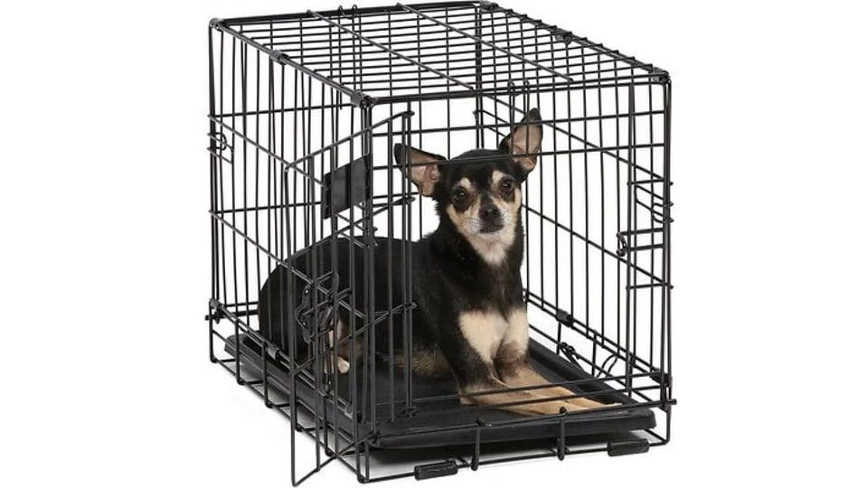 midwest-dog-single-door-i-crate-1