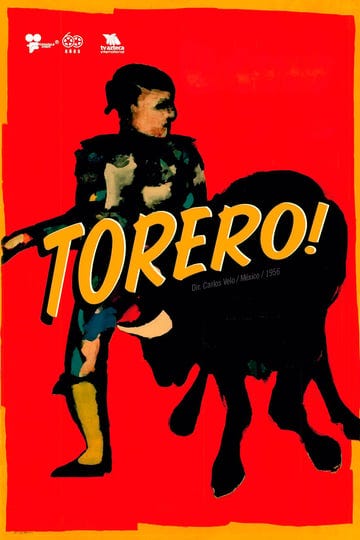 torero-4328440-1