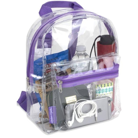 madison-dakota-clear-mini-backpacks-for-beach-travel-stadium-approved-bag-with-adjustable-straps-1