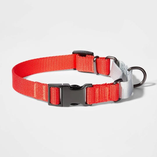 boots-barkley-martingale-m-tomato-silver-dog-collar-with-buckle-target-1