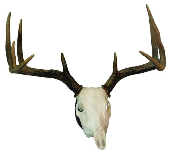 hunter-specialties-euro-deer-skull-mount-kit-1