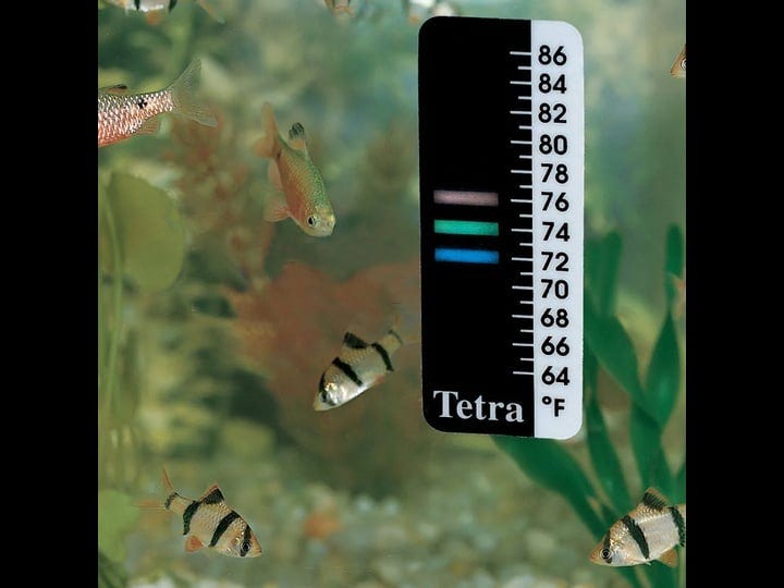 thermometer-lcd-sticks-on-outside-of-aquarium-tank-1