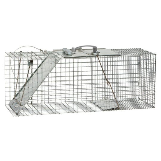 havahart-easy-set-live-raccoon-trap-gray-l-1