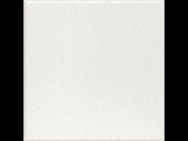 usg-2-ft-x-2-ft-mars-white-shadowline-tapered-edge-lay-in-ceiling-tile-case-of-12-48-sq-ft-1