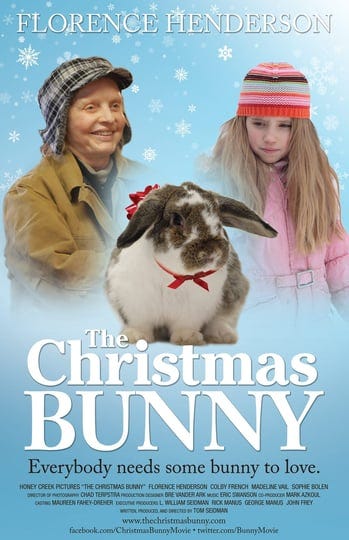 the-christmas-bunny-4599461-1