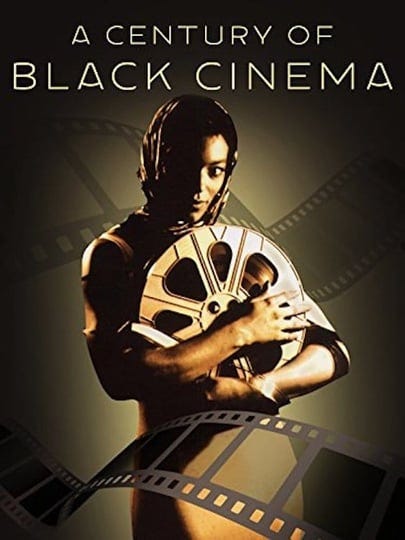 a-century-of-black-cinema-tt1381270-1