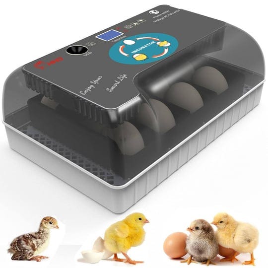sszyace-12-35-egg-incubator-incubators-for-hatching-eggs-with-automatic-turner-egg-candler-and-tempe-1