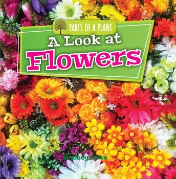 a-look-at-flowers-3316648-1