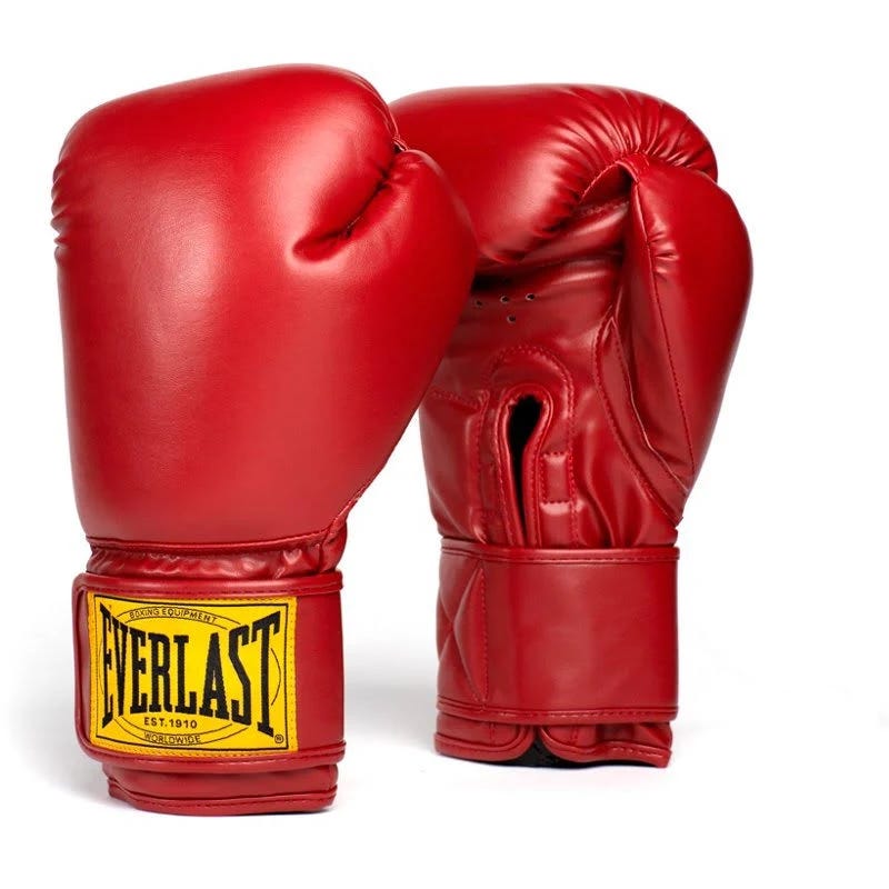 Everlast Sports Classic Boxing Gloves | Image