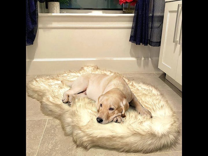 luxury-faux-fur-orthopedic-dog-bed-memory-foam-pup-rug-for-small-medium-large-and-xl-pets-bone-white-1