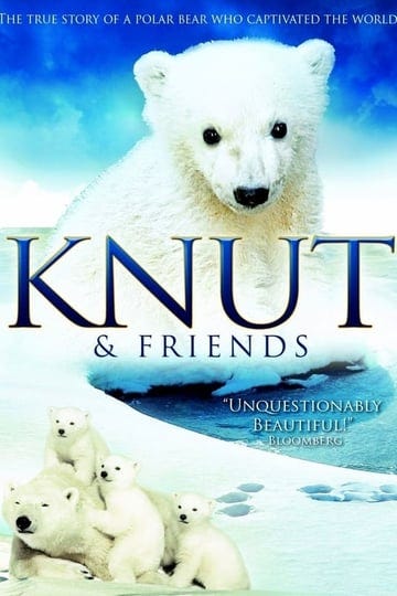 knut-and-his-friends-6834613-1