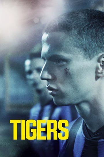 tigers-4473622-1