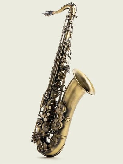 tenor-saxophone-the-mcneela-beginner-tenor-saxophone-set-antique-finish-1