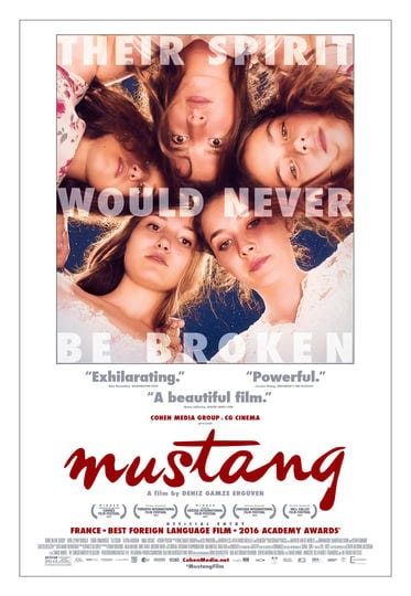 mustang-2050940-1