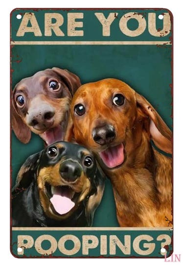 funny-metal-signs-decor-dachshund-are-you-pooping-restroom-bathroom-wall-decor-dog-lovers-gift-metal-1