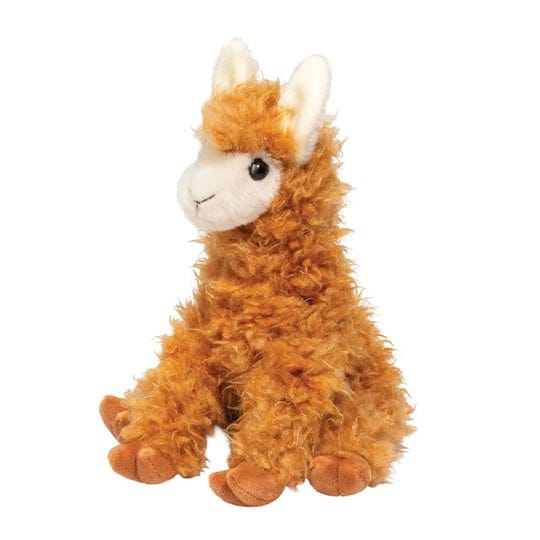 douglas-logan-llama-1