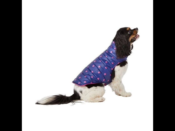 top-paw-value-dot-print-puffer-dog-jacket-in-navy-blue-size-medium-polyester-petsmart-1