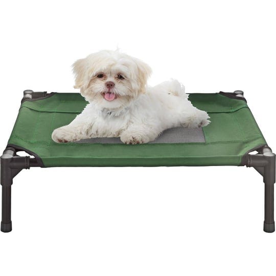 pet-adobe-cot-style-elevated-pet-bed-green-1