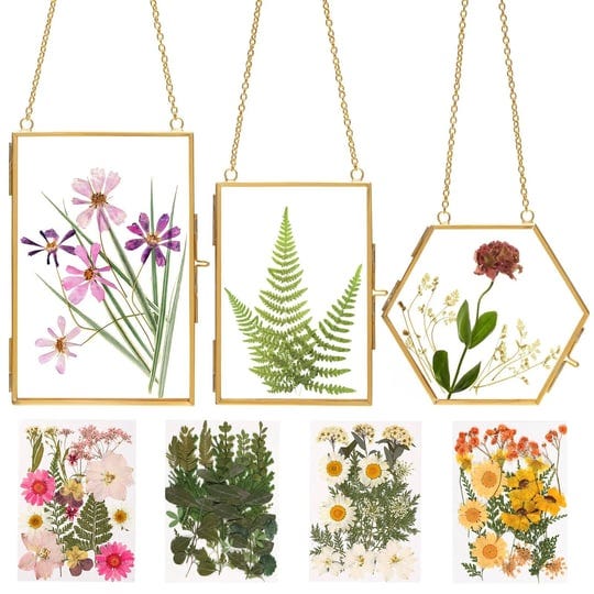 double-glass-frame-for-pressed-flowers-w-real-dried-flowers-and-tweezer-for-handicrafts-photo-or-oth-1
