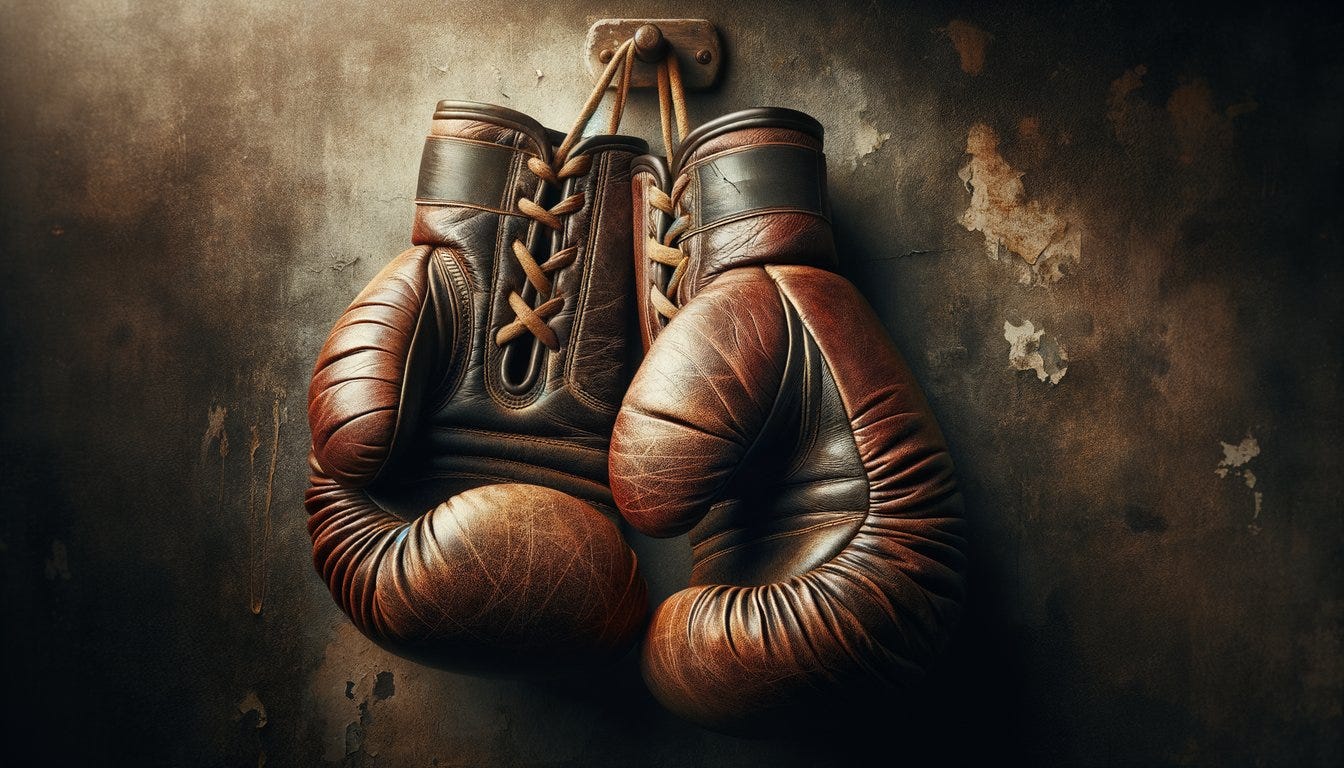 Retro Boxing Gloves_2