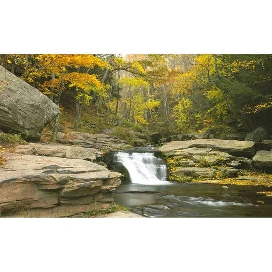 biggies-stream-photograph-wall-mural-medium-1