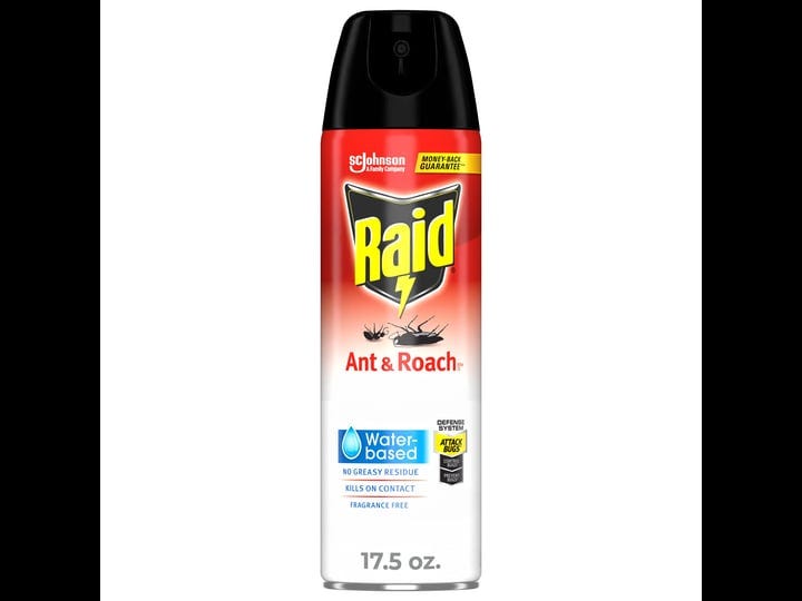 raid-ant-and-roach-killer-spray-17-5-oz-1