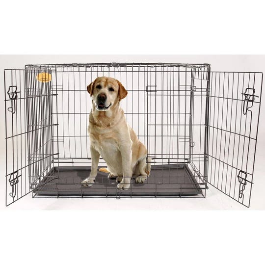 kennelmaster-42-in-x-28-in-x-30-in-large-wire-dog-crate-1