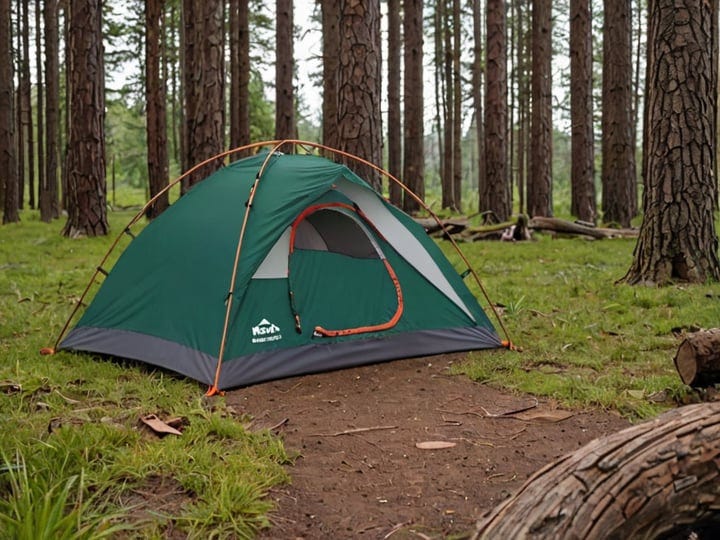 Eureka-Timberline-2-Tent-5