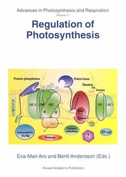 regulation-of-photosynthesis-2438771-1