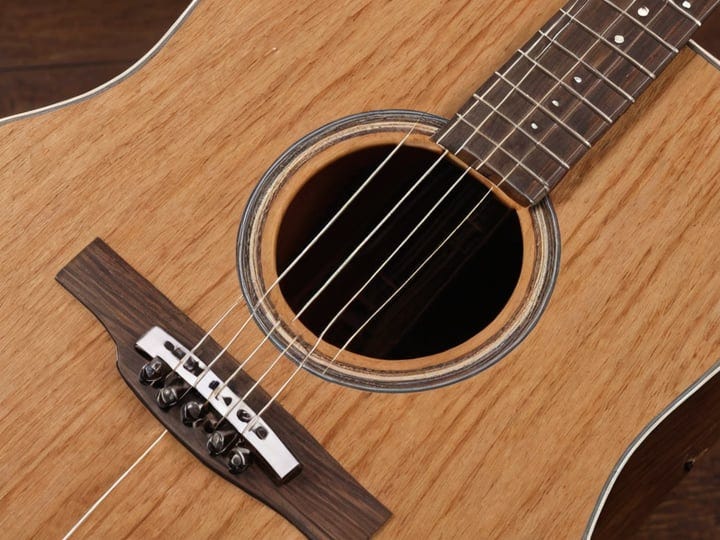 Fender-Acoustic-Guitar-2