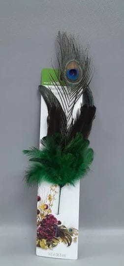 14-5-peacock-feather-assorted-1