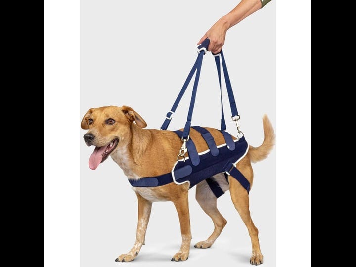 balto-body-lift-dog-body-harness-with-handles-large-1