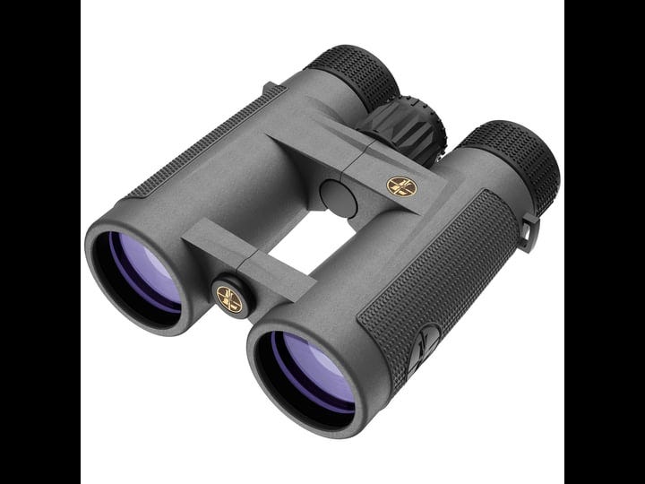 leupold-bx-4-pro-guide-hd-10x42mm-gray-1