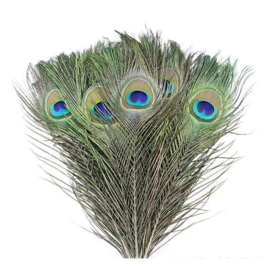 esoes-20-natural-real-peacock-feathers-with-eyelet-long-peacock-feather-decoration-for-wedding-party-1