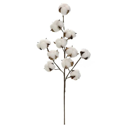 ashland-cotton-stem-each-1