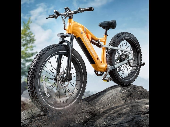 puckipuppy-electric-bike-for-adults-1000w-48v-20ah-samsung-cells-battery-26-fat-tire-full-suspension-1