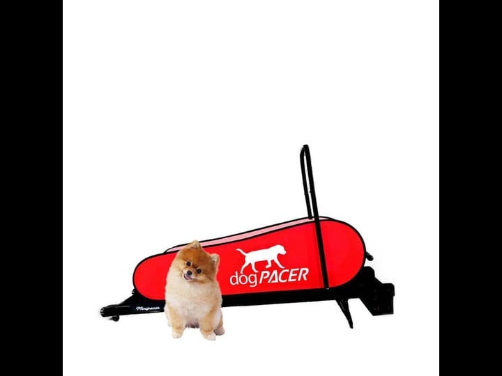 dogpacer-minipacer-dog-treadmill-1
