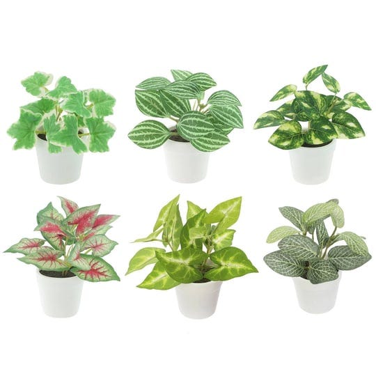 assorted-potted-micro-plant-by-ashland-1pc-in-white-4-michaels-1
