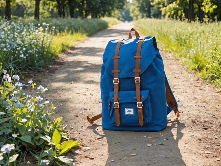 Blue-Herschel-Backpack-6