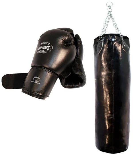 shelter-s104-heavy-duty-pro-boxing-gloves-pro-huge-punching-bag-with-chains-1