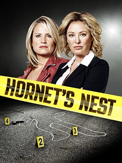 hornets-nest-4341924-1